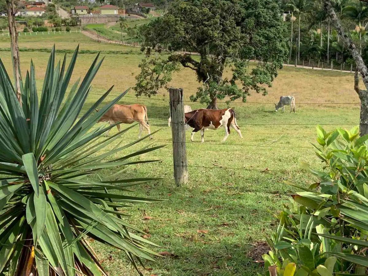 Sitio Canta Galo Governador Celso Ramos Esterno foto